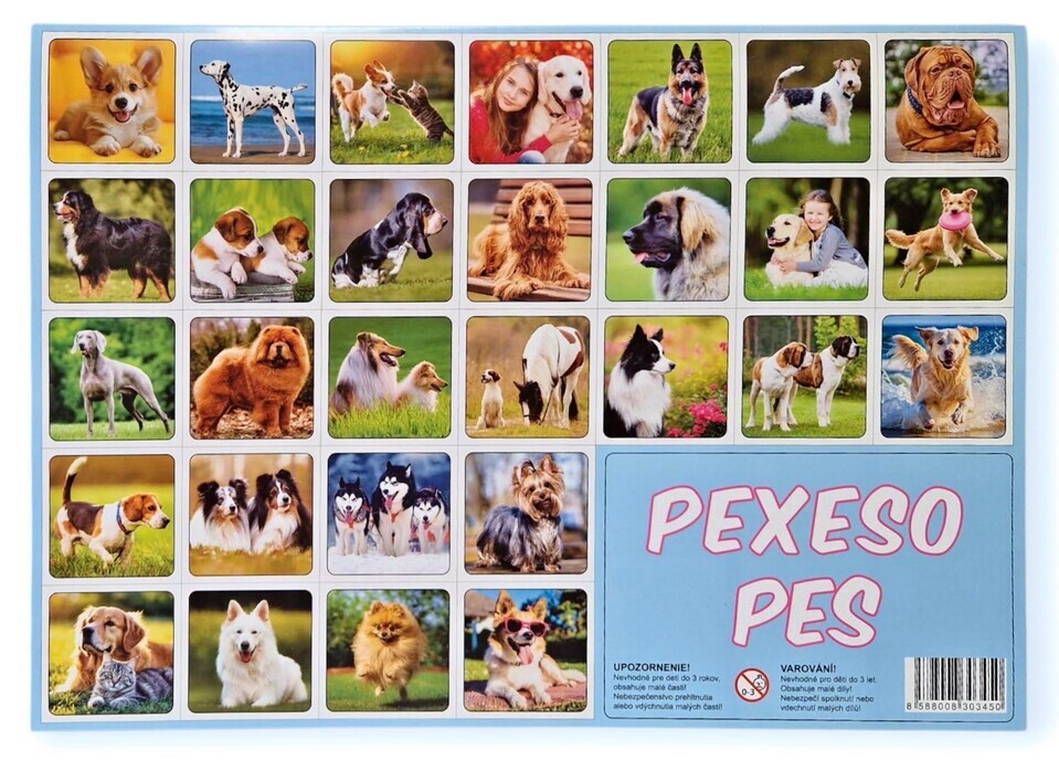 Pexeso Pes
