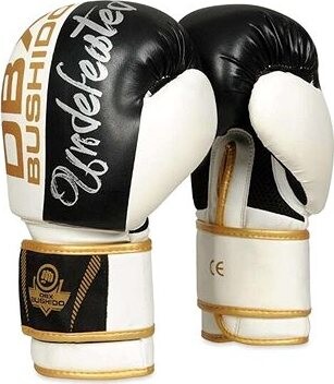 DBX BUSHIDO B-2V16 10 OZ BOXERSKÉ RUKAVICE DBX BUSHIDO