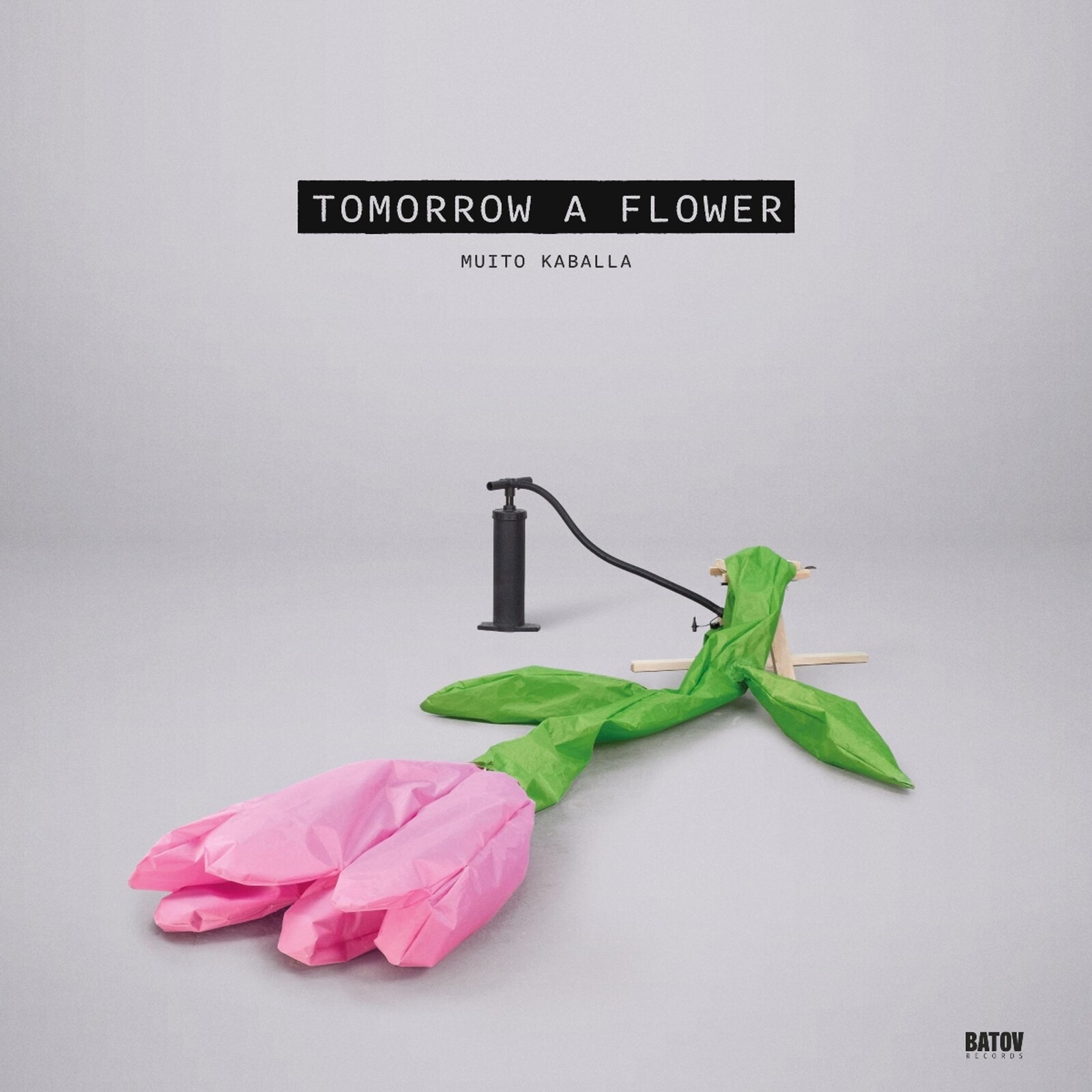 TOMORROW A FLOWER