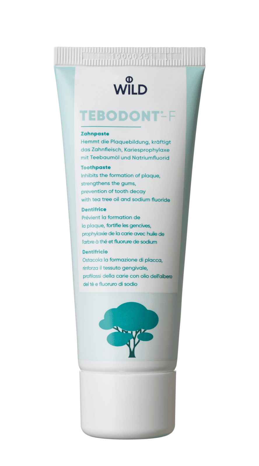 TEBODONT -F Zubná pasta s fluoridmi 75 ml